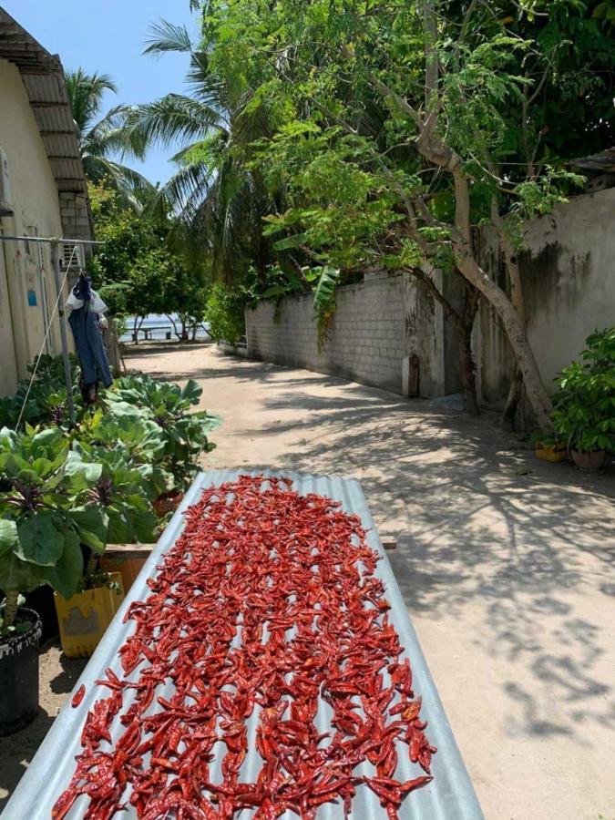 La Isla Tropica Hotel Гурайдо Екстериор снимка