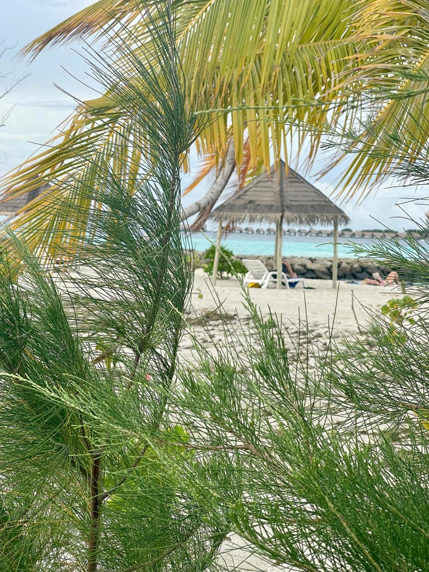 La Isla Tropica Hotel Гурайдо Екстериор снимка