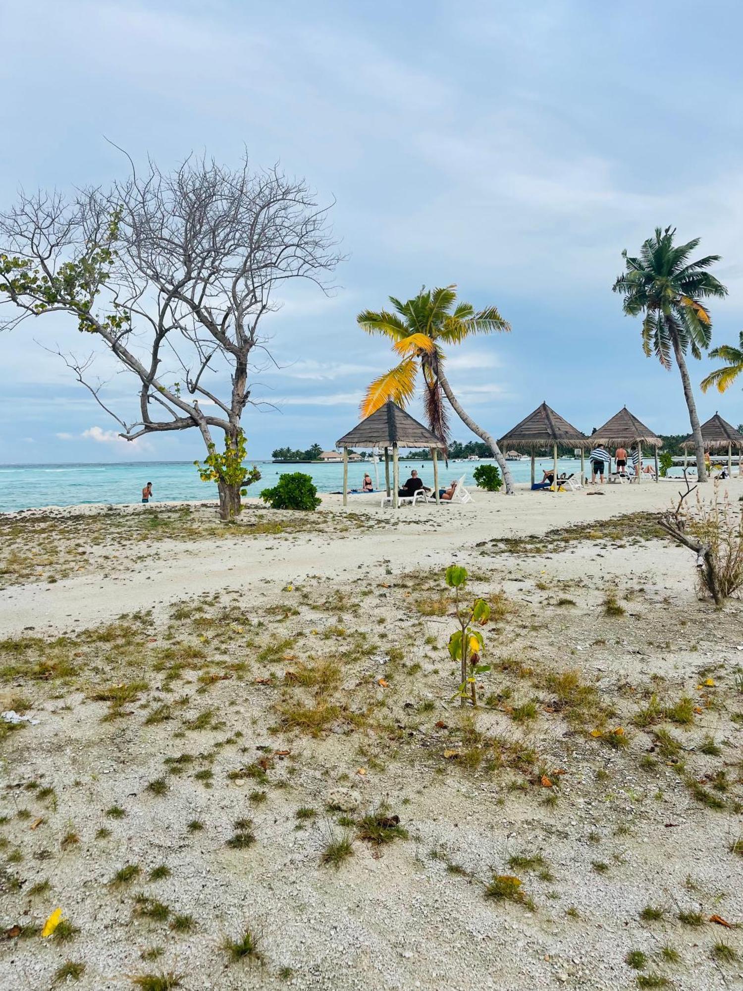 La Isla Tropica Hotel Гурайдо Екстериор снимка